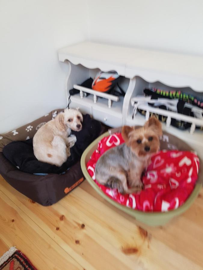 Családi haz Apartman Budapest Kültér fotó